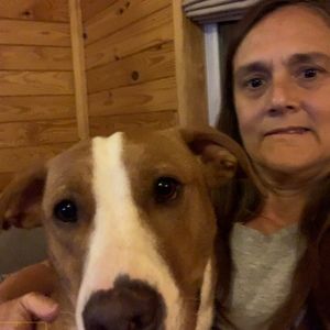 Meet your Posher, Laurie